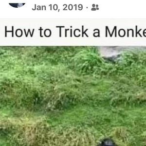 Meet your Posher, Brother-inspirational